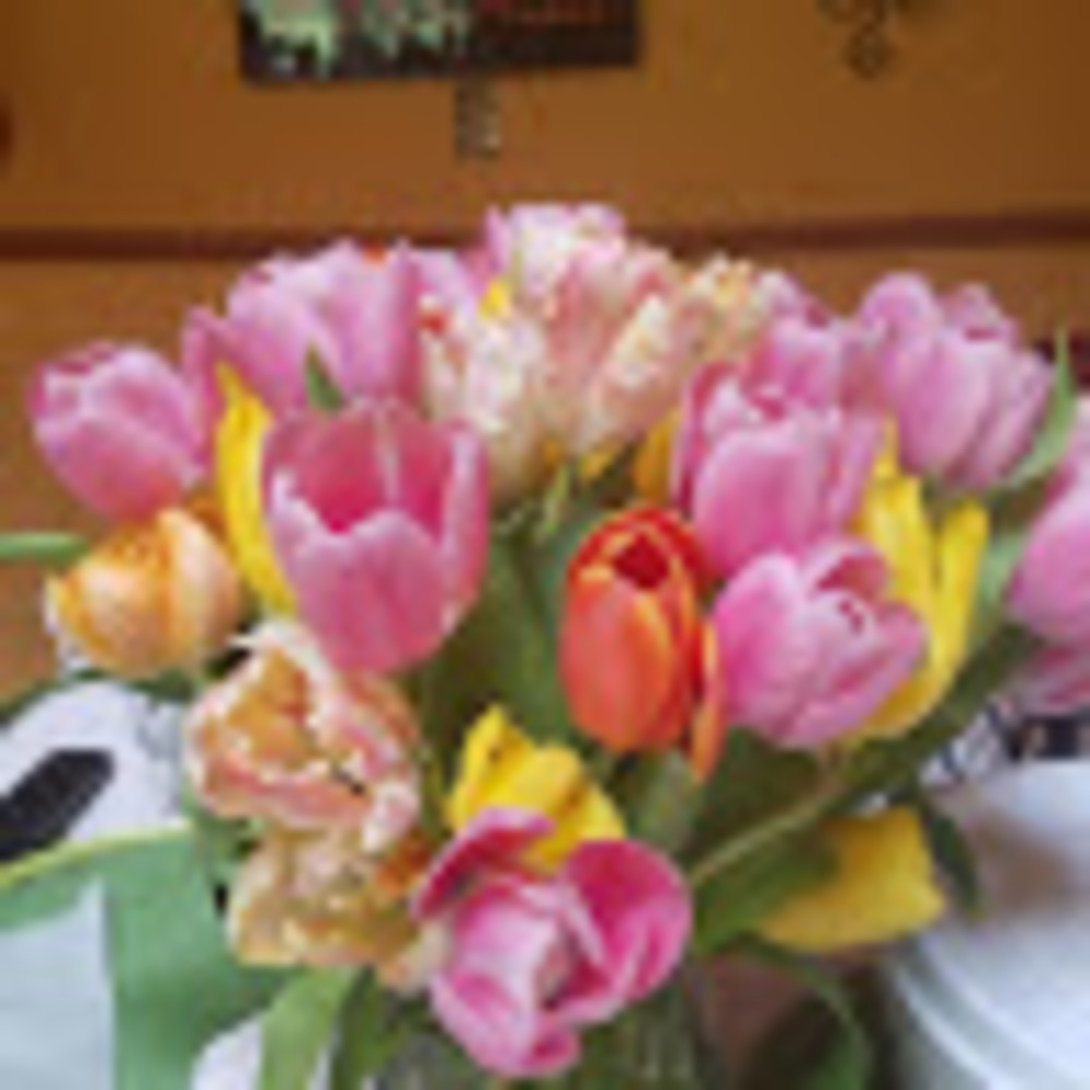 Meet your Posher, Christie